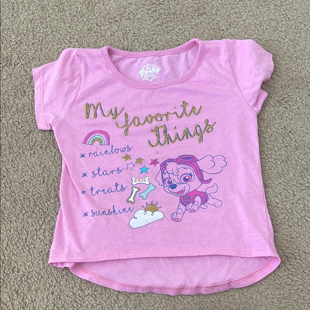 🔥3 for $10 - Paw Patrol Pink Short Sleeve Tee with Fun Graphics